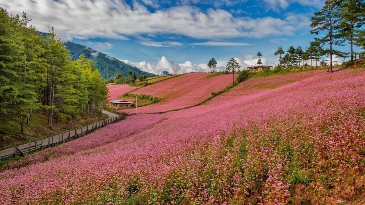 Bumthang Cultural Trek
